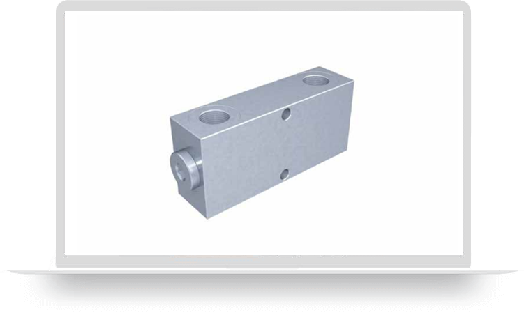 Dual check valves