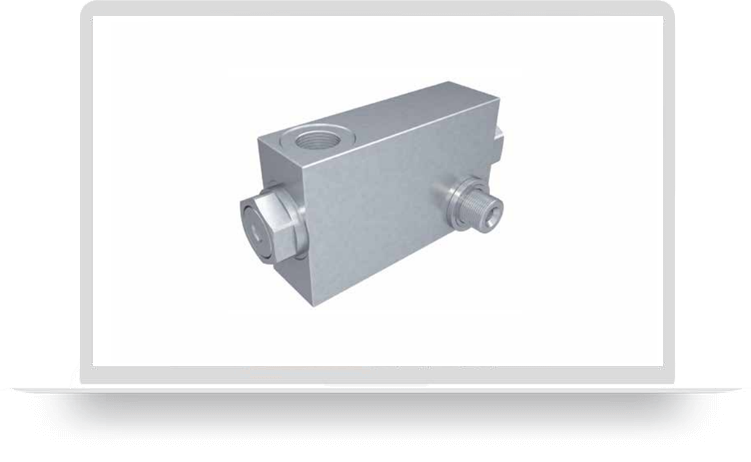 Dual pilot operated check valve with hollow screw